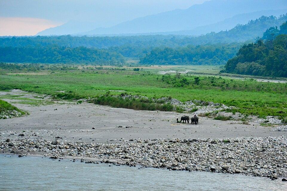 Assam Tour